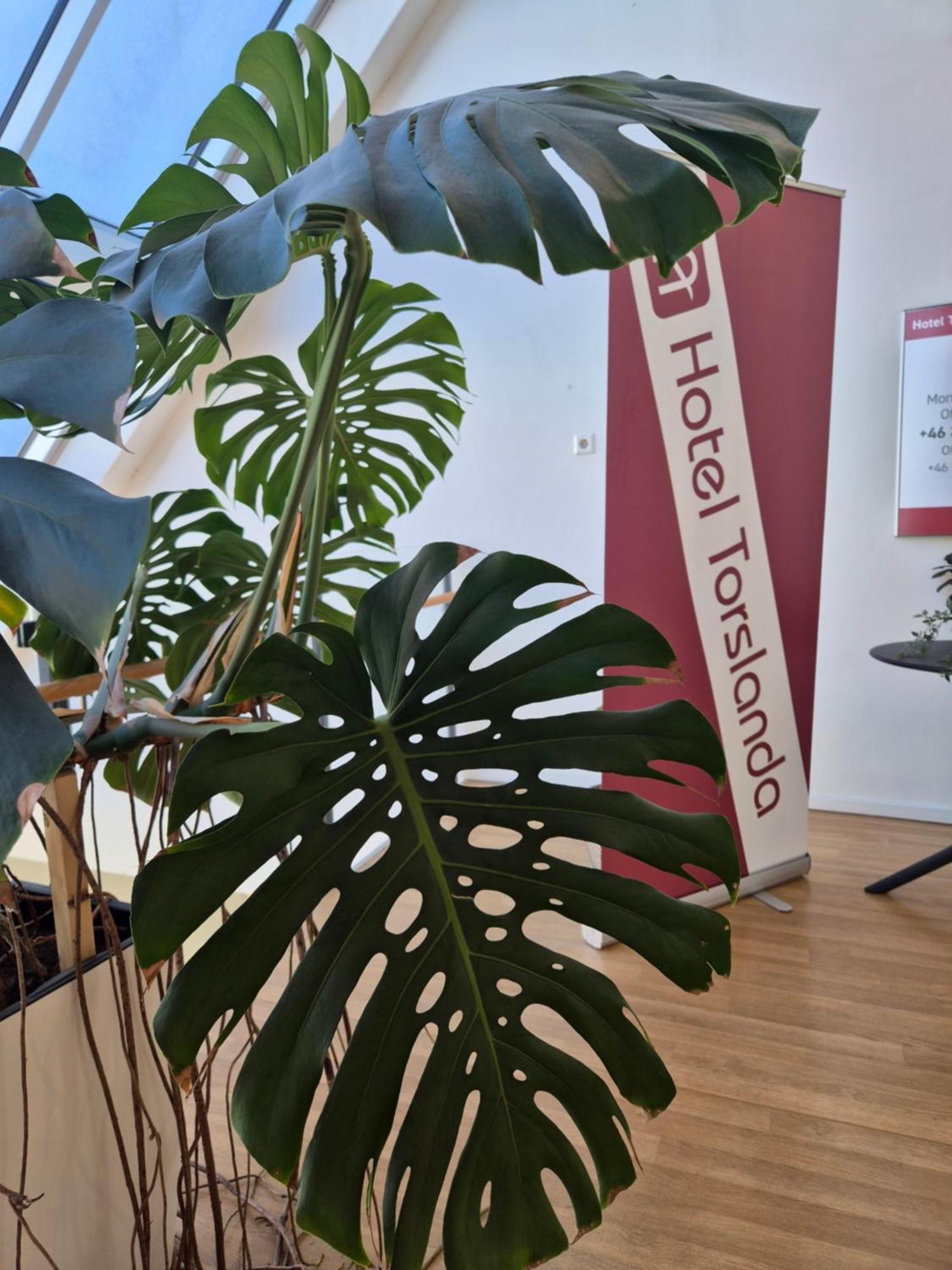 Hotell Torslanda Göteborg